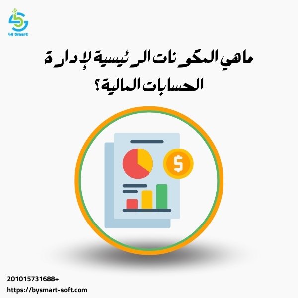ما هي أدوات وبرامج إدارة الحسابات المالية؟